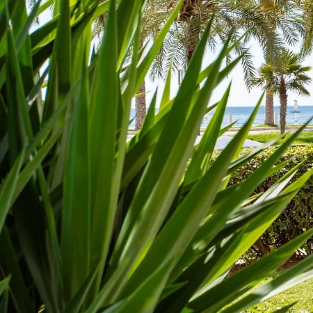 Διαμέρισμα L54 Staywizus - 1bdr Promenade Sea View Ac & Balcony *